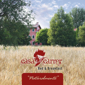 Отель Casa Carrer B&B  Бруньера